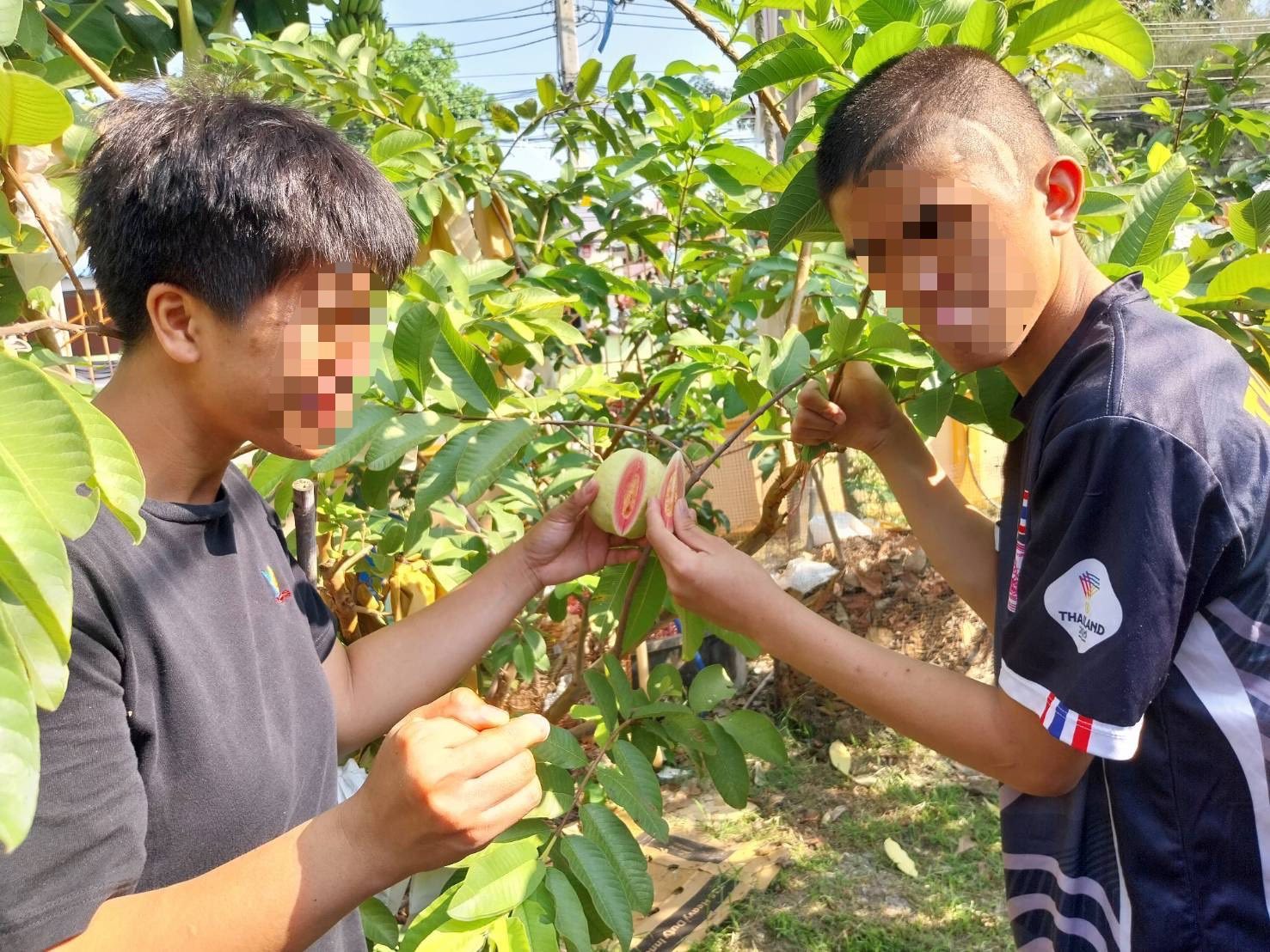 กิจกรรมส่งเสริมพัฒนาการ